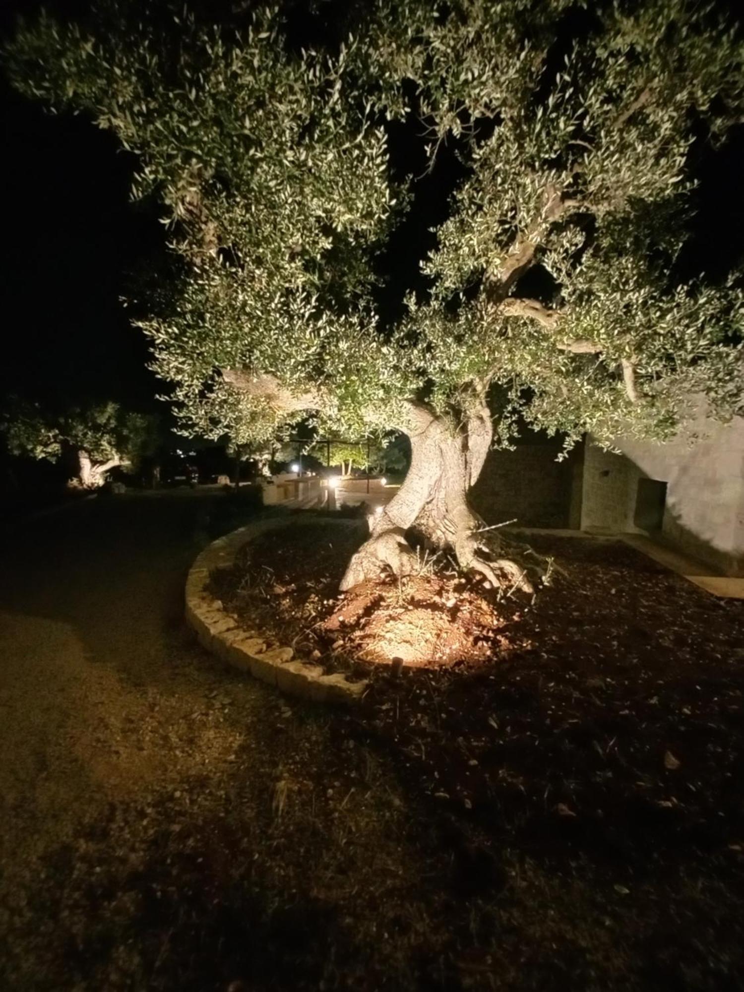 Villa Il Nido Delle Rondini à Cisternino Extérieur photo